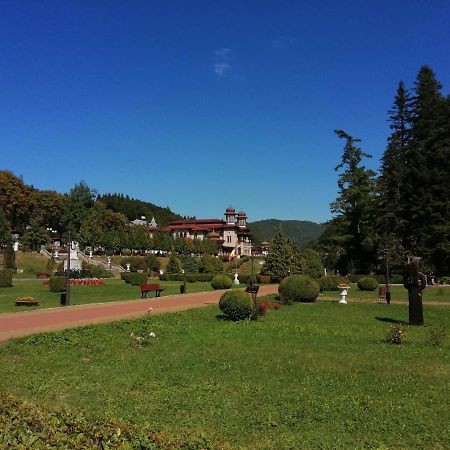 Apartamentul Alfa Slănic-Moldova Exterior foto