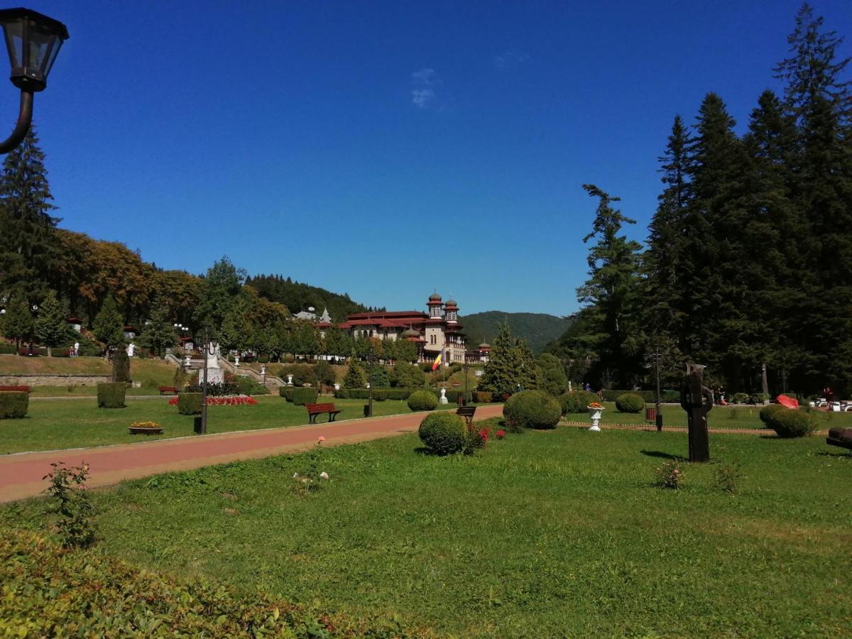 Apartamentul Alfa Slănic-Moldova Exterior foto
