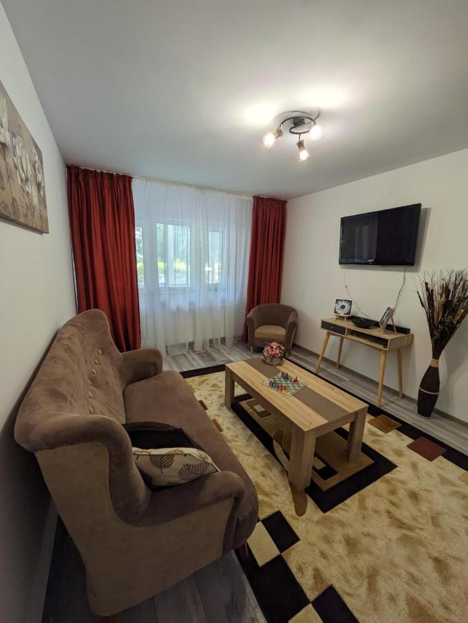Apartamentul Alfa Slănic-Moldova Exterior foto