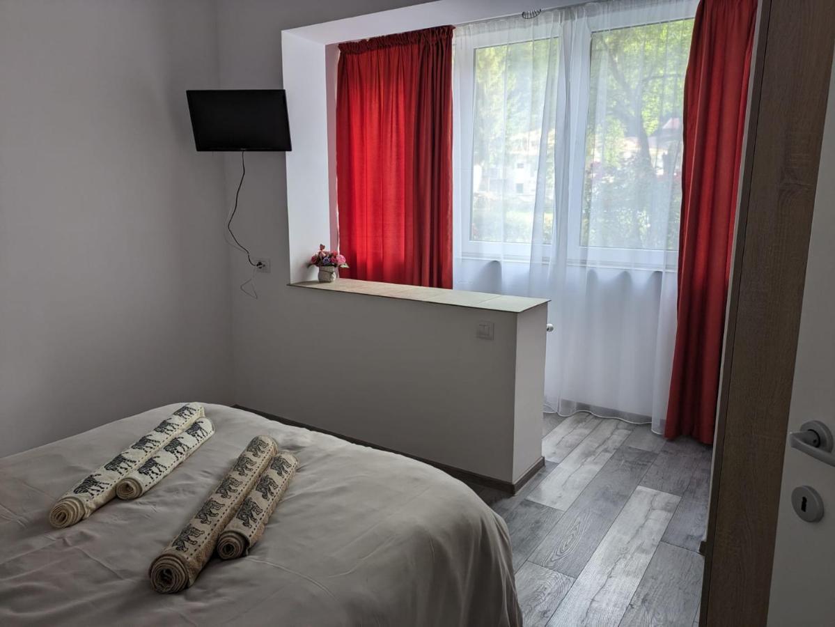 Apartamentul Alfa Slănic-Moldova Exterior foto